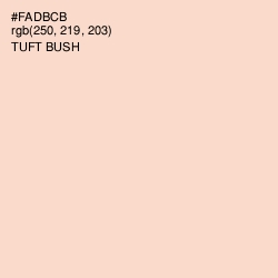 #FADBCB - Tuft Bush Color Image
